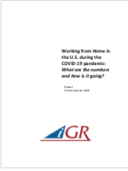 Working from Home in the U.S. during the COVID-19 pandemic: What are the numbers and how is it going?  preview image